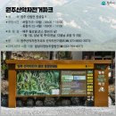 원주산악자전거파크 이미지