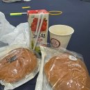 성남중학교 - 성남시 중원구 | 2025년 21대 대통령선거 개표사무원 후기