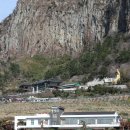 화순리 해수욕장 도로변 | 제주올레길 10코스 화순금모래해수욕장-모슬포 15,6km(2021년 3월 3일)