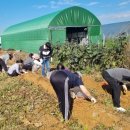 정신농장 이미지