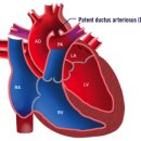 조앤박동물병원 이미지