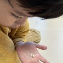 연세이도치과의원 네이버블로그