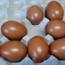 충남 농어민 신문님께~^^ 이미지