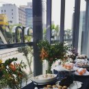 마노모터스 이미지