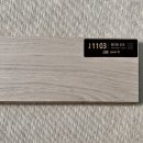 J1102 이미지