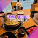 [제주 서귀포 실내 애견동반식당_채선당] 채선당을 강아지랑?