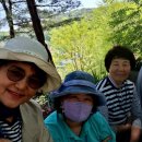 황새바위 | 황새바위 성지순례