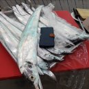 사월삼계탕 김선장 이미지