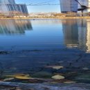 안흥유원지 이미지