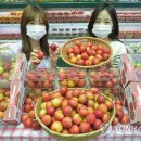 대석 이미지