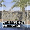 삼성빌라 입구 | 제주 태교여행 제주 풀빌라 추천 센토사한림 A동 후기