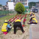 금남3리 이미지