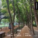 (주)하이네트웍 | 4개월 러닝 후기｜초보 러닝 페이스 8.5→6.3 변화 + 러너스하이 실제 체감