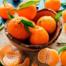 애프터짐 이미지