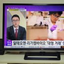 (주)동구바이오제약 | [12월2일 주식이궁금할때], 슈퍼사이클 도래! 제약바이오주 TOP3