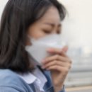 GS25함덕골든튤립 이미지