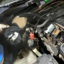 MS골드 모터스 이미지