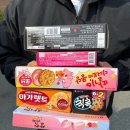 2024년 밀린 3월 일상