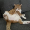 (주)푸른사료 이미지