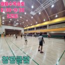 창경 | 민턴일지[창경클럽 창경초등학교] 쌍문동 방학동 배드민턴 저녁반 클럽 84스윙 칭구들과 운동 불금은...