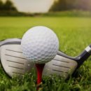 빛가람 골프존 이미지