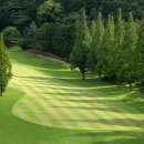 노송골프 이미지