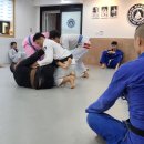 그레이시주짓수수원