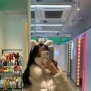 포토제니플러스 이미지