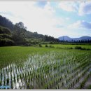 포지션당구장 이미지