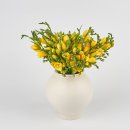 요정농장 이미지