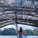 방카센타 이미지