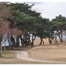 시내권 투어 1 이미지