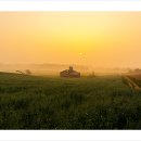 목장의아침 이미지