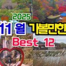 25년 11월 여행지추천 베스트12, 최고의 여행지선정, 전국단풍명소, 꽃축제 절정, 11월 가볼만한곳, 가을단풍여행 이미지
