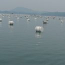 행수농장 이미지