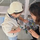 신창 그리고 제주 | 아기랑 제주 신창풍차해안도로 전기자전거 타기｜가족여행 후기 및 꿀팁