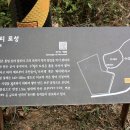 석실로7 | 제2길 미음나루길(수석리 토성 ~ 조말생~ 석실마을)