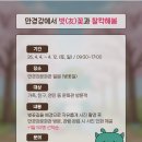 만경강문화관 티스토리