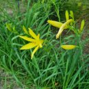 고잔2길 이미지