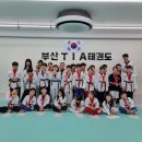 TIA태권도 이미지
