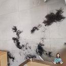 살롱드누에보(salon de NUEVO) | 전주미용실 2023단발머리 단발머리 잘하는 효자동 미용실 살롱드누에보