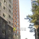 흥안대로456번길 이미지