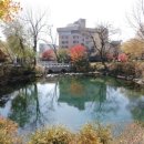 태백농원 이미지