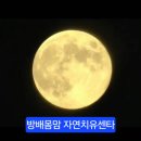 파킨슨 8년차 기적 ㅡ 누구도 본적도 들은적도 없는 놀라운 일이 지금 일어나네 이미지