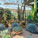 리본치과기공소 이미지