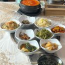 하동오리불고기 | 하동] 여명가든 녹차오리구이 맵찔이 후기 내돈내산