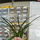 아우토팩토리 이미지