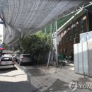 제일조치