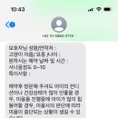 캣블레스유 이미지