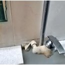 음성목욕탕